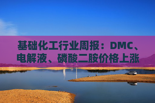 基础化工行业周报：DMC、电解液、磷酸二胺价格上涨 关注反内卷和铬盐