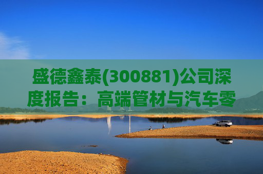 盛德鑫泰(300881)公司深度报告：高端管材与汽车零部件双轮驱动 前景可期