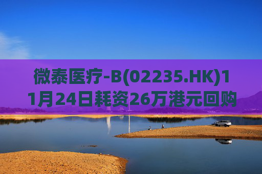 微泰医疗-B(02235.HK)11月24日耗资26万港元回购3.9万股  第1张