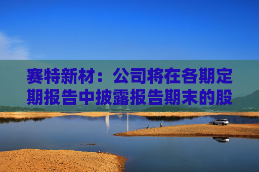 赛特新材：公司将在各期定期报告中披露报告期末的股东人数
