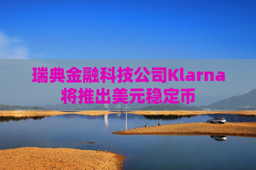 瑞典金融科技公司Klarna将推出美元稳定币
