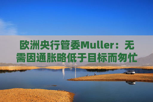 欧洲央行管委Muller：无需因通胀略低于目标而匆忙降息