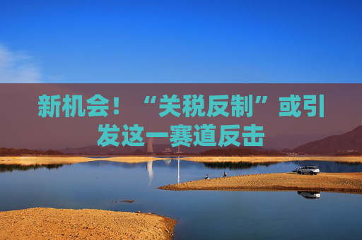新机会!“关税反制”或引发这一赛道反击