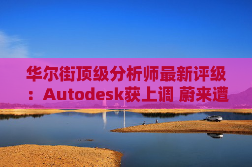 华尔街顶级分析师最新评级:Autodesk获上调 蔚来遭下调