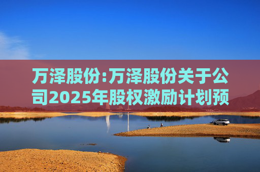 万泽股份:万泽股份关于公司2025年股权激励计划预留授予限制性股票登记完成的公告