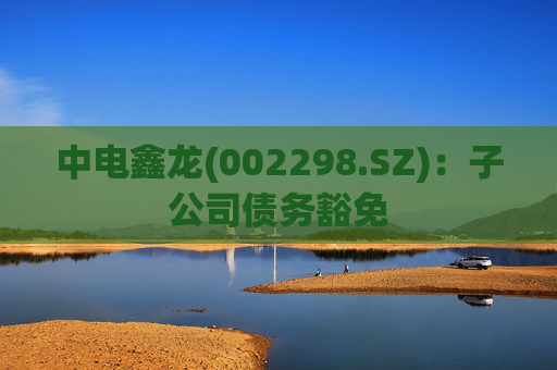 中电鑫龙(002298.SZ)：子公司债务豁免