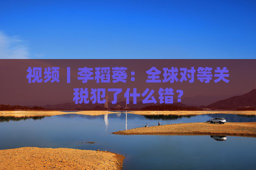 视频丨李稻葵：全球对等关税犯了什么错？