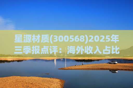 星源材质(300568)2025年三季报点评：海外收入占比提升 盈利水平改善