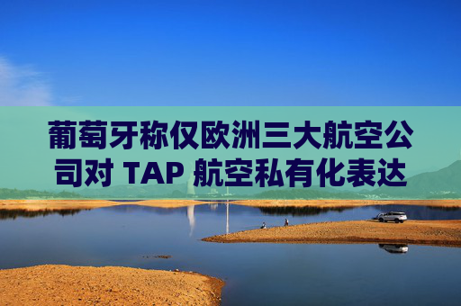 葡萄牙称仅欧洲三大航空公司对 TAP 航空私有化表达兴趣