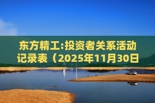 东方精工:投资者关系活动记录表(2025年11月30日)