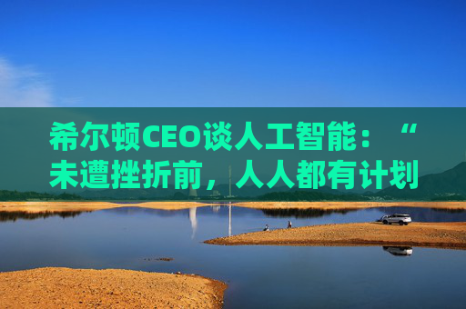 希尔顿CEO谈人工智能：“未遭挫折前，人人都有计划”
