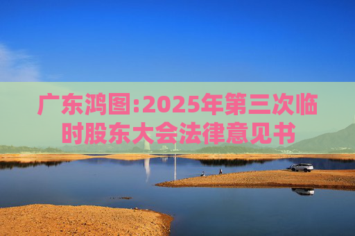 广东鸿图:2025年第三次临时股东大会法律意见书