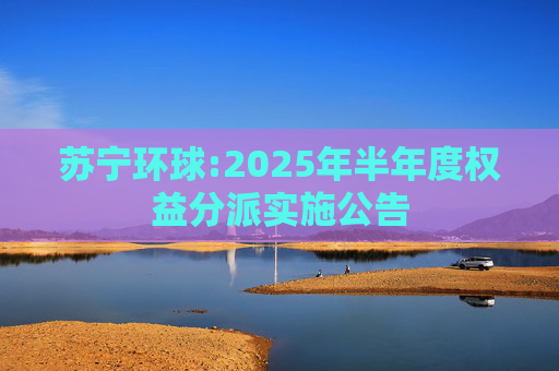 苏宁环球:2025年半年度权益分派实施公告