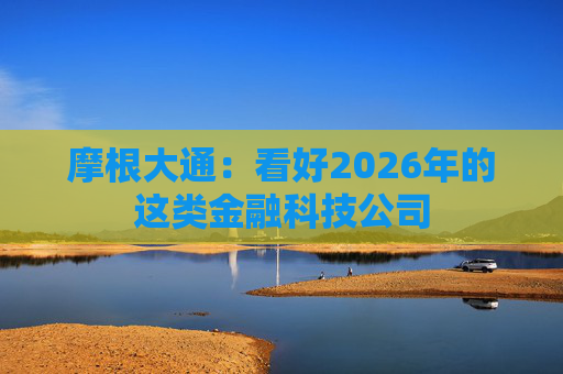 摩根大通:看好2026年的这类金融科技公司