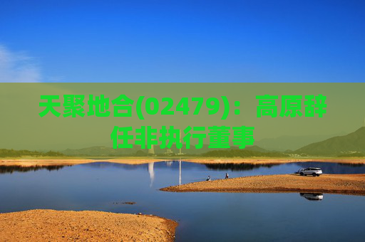 天聚地合(02479)：高原辞任非执行董事  第1张