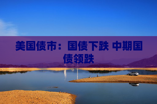 美国债市：国债下跌 中期国债领跌