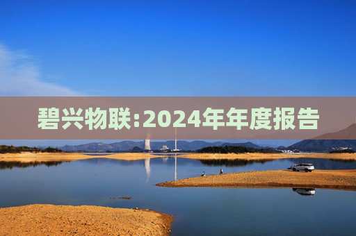 碧兴物联:2024年年度报告