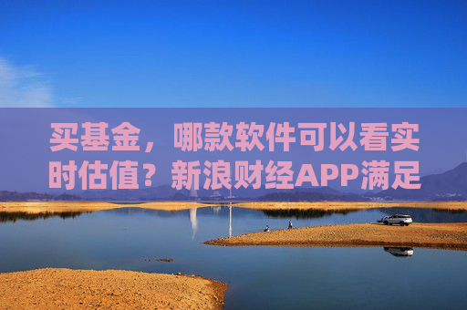 买基金，哪款软件可以看实时估值？新浪财经APP满足你的投资需求  第1张