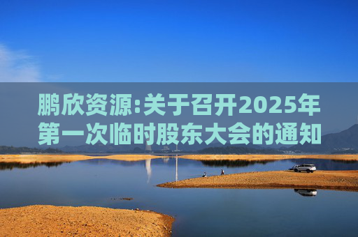 鹏欣资源:关于召开2025年第一次临时股东大会的通知  第1张