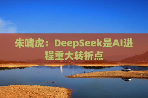 朱啸虎：DeepSeek是AI进程重大转折点