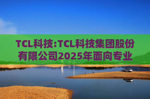 TCL科技:TCL科技集团股份有限公司2025年面向专业投资者公开发行科技创新公司债券（数字经济）（第一期）发行公告