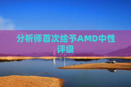分析师首次给予AMD中性评级