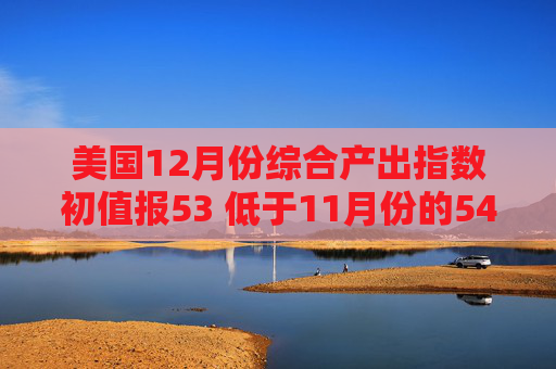 美国12月份综合产出指数初值报53 低于11月份的54.2