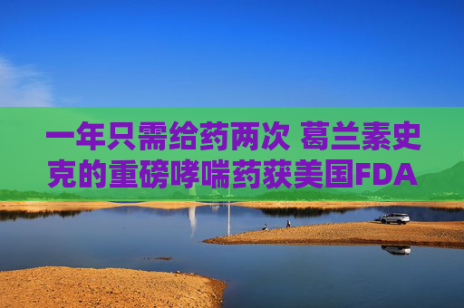 一年只需给药两次 葛兰素史克的重磅哮喘药获美国FDA批准