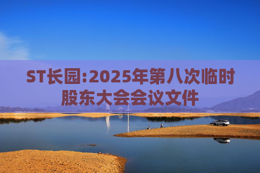ST长园:2025年第八次临时股东大会会议文件