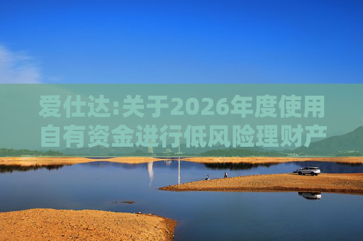 爱仕达:关于2026年度使用自有资金进行低风险理财产品投资的公告