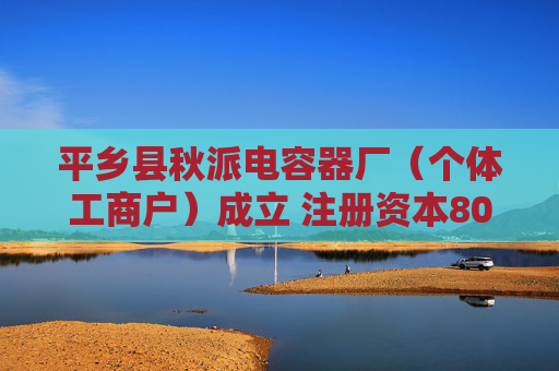 平乡县秋派电容器厂(个体工商户)成立 注册资本80万人民币