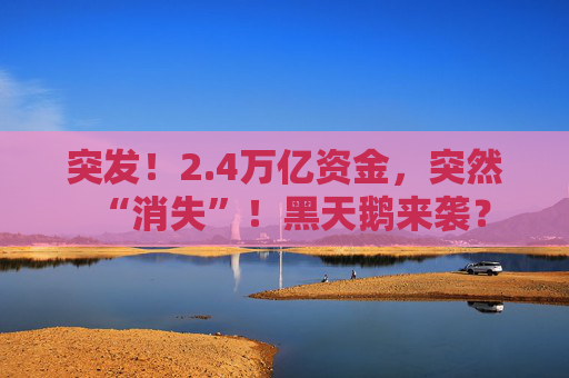 突发!2.4万亿资金,突然“消失”!黑天鹅来袭? 第1张 突发!2.4万亿资金,突然“消失”!黑天鹅来袭? 第1张