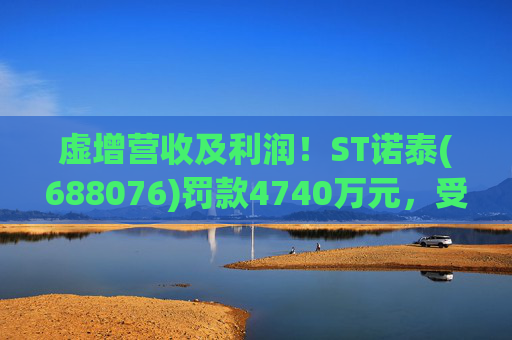 虚增营收及利润！ST诺泰(688076)罚款4740万元，受损投资者可索赔！