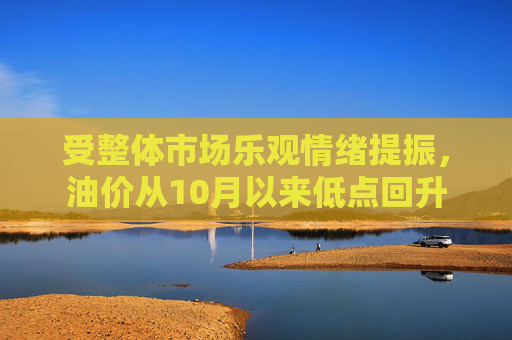 受整体市场乐观情绪提振，油价从10月以来低点回升