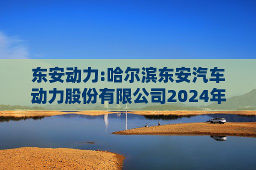 东安动力:哈尔滨东安汽车动力股份有限公司2024年度内部控制审计报告