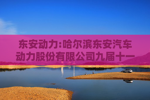 东安动力:哈尔滨东安汽车动力股份有限公司九届十一董事会会议决议公告