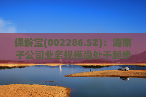 保龄宝(002286.SZ)：海南子公司业务规模尚处于起步阶段