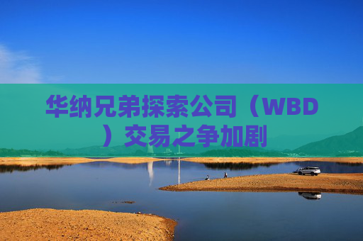 华纳兄弟探索公司（WBD）交易之争加剧  第1张
