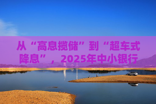 从“高息揽储”到“超车式降息”，2025年中小银行大幅下调存款利率｜2025中国经济年报