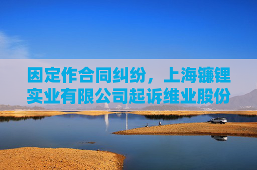 因定作合同纠纷，上海镰锂实业有限公司起诉维业股份等