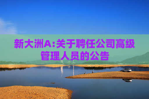 新大洲A:关于聘任公司高级管理人员的公告