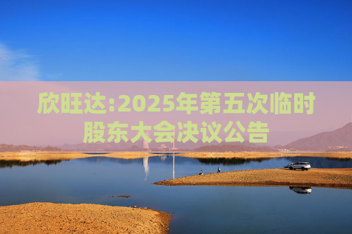 欣旺达:2025年第五次临时股东大会决议公告