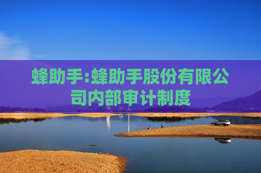 蜂助手:蜂助手股份有限公司内部审计制度