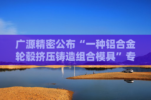 广源精密公布“一种铝合金轮毂挤压铸造组合模具”专利