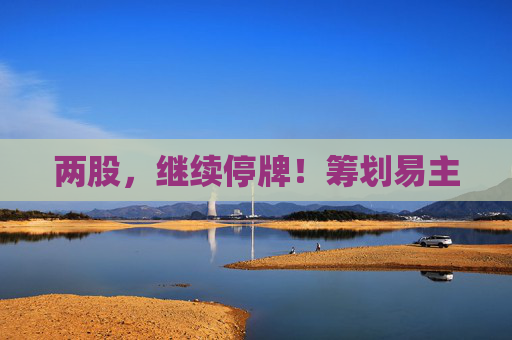 两股，继续停牌！筹划易主