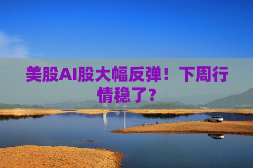 美股AI股大幅反弹！下周行情稳了？