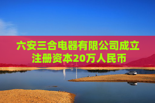 六安三合电器有限公司成立 注册资本20万人民币