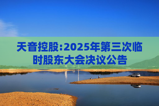 天音控股:2025年第三次临时股东大会决议公告