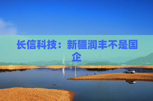 长信科技：新疆润丰不是国企