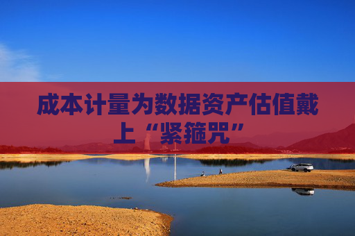成本计量为数据资产估值戴上“紧箍咒”  第1张